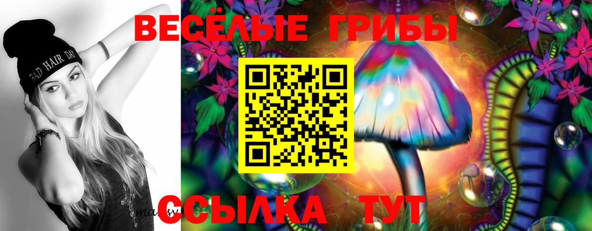 Псилоцибиновые грибы GOLDEN TEACHER  Вход с VPN  Ростов Великий  Псилоцибиновые грибы Cubensis 