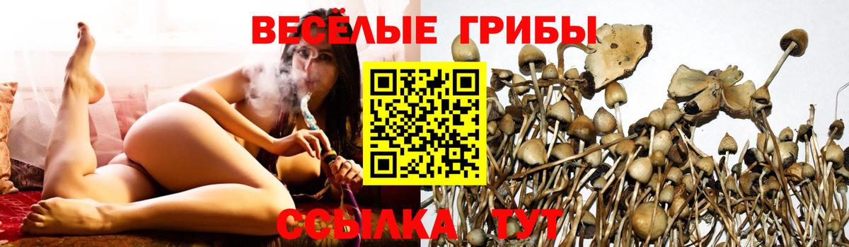 Псилоцибиновые грибы MAGIC MUSHROOMS Ростов Великий